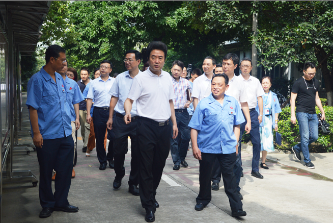 成都市纪委书记王川红到成都彩虹集团调研