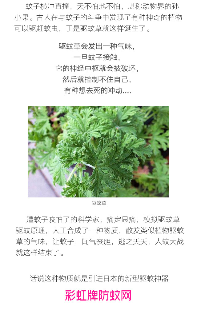 隐形蚊帐——彩虹防蚊网